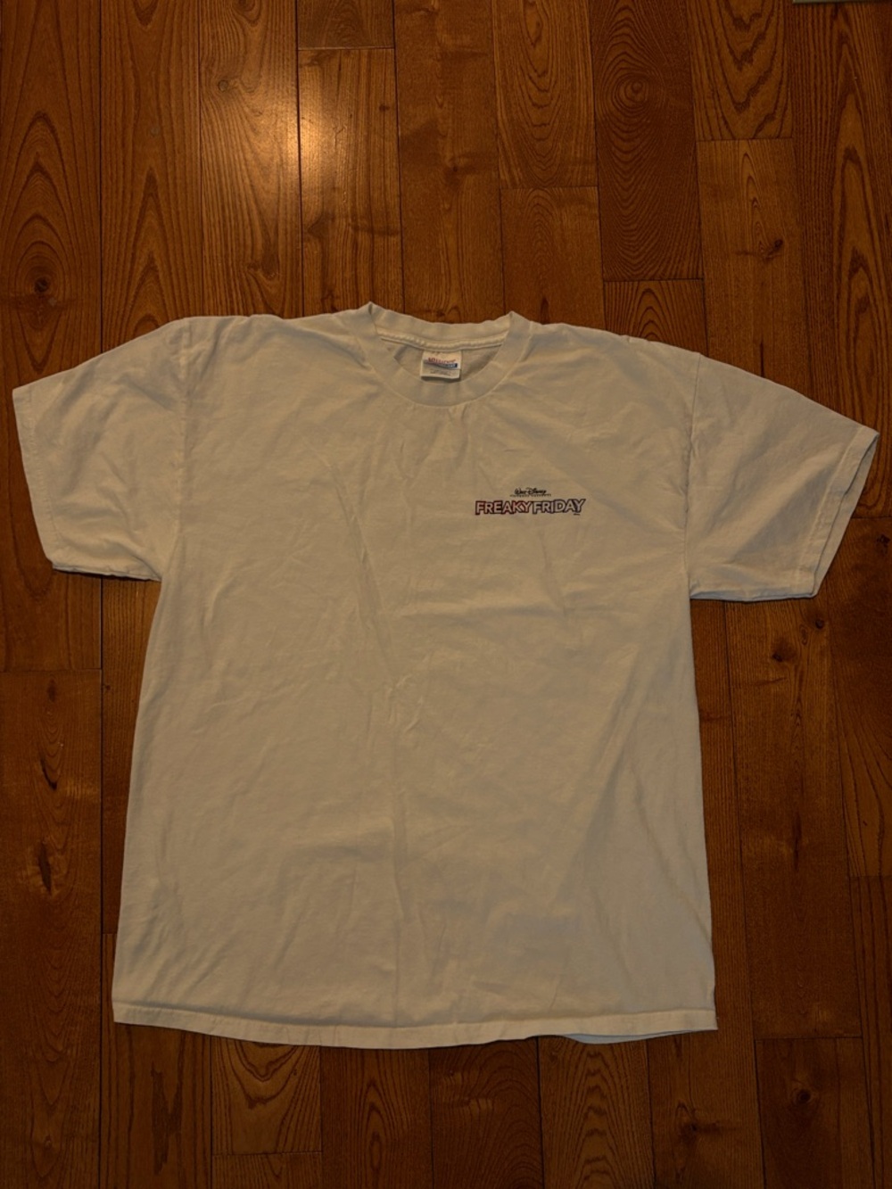 Hanes - Men’s Vintage Short Sleeve Tee (Size L)